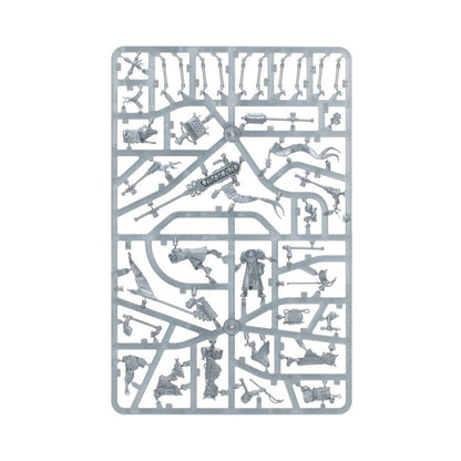 Cities of Sigmar: Freeguild Fusilliers