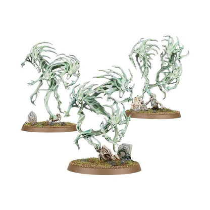 Warhammer Nighthaunt: Spirit Hosts