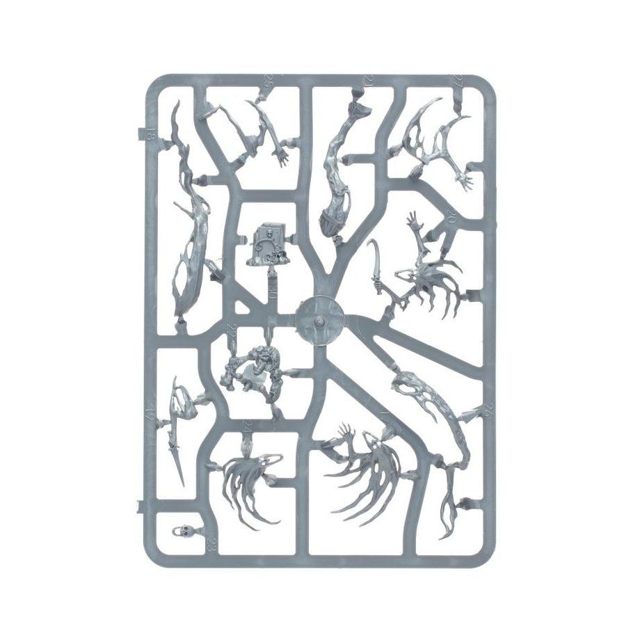 Warhammer Nighthaunt: Spirit Hosts