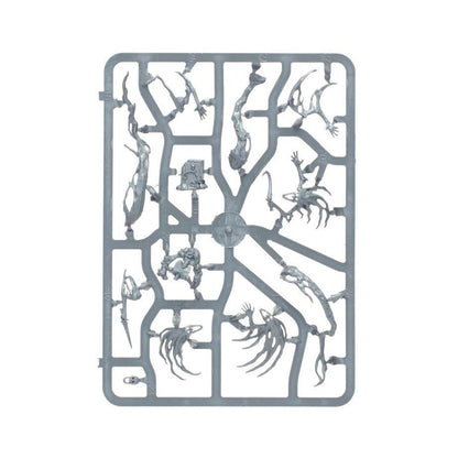 Warhammer Nighthaunt: Spirit Hosts