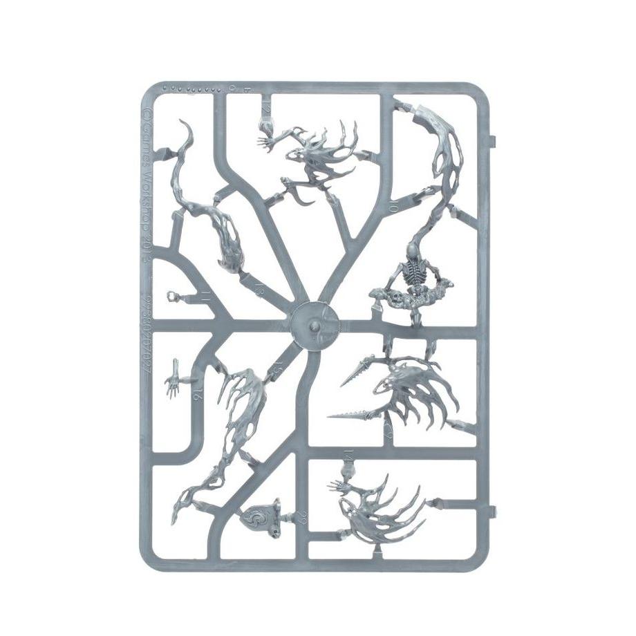 Warhammer Nighthaunt: Spirit Hosts