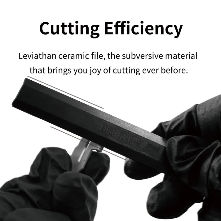  DSPIAE Leviathan Ultimate Hobby FiLe instructions