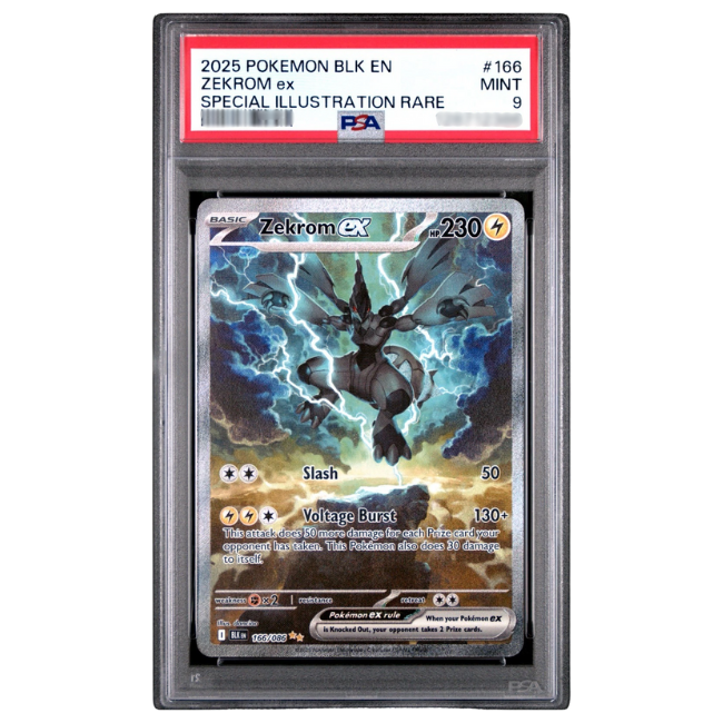 PSA 9 Zekrom ex 166/086 | Black Bolt | Special Illustration Rare Pokemon Card