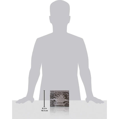 Pokémon TCG: Mega Evolution— Pitch Black Elite Trainer Box